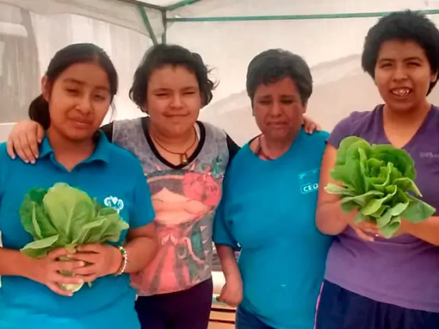 Trabajando en el Invernadero