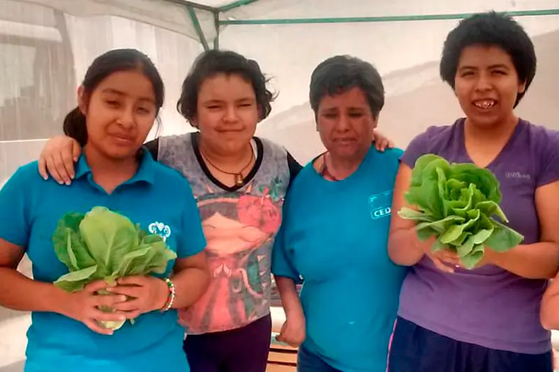 Trabajando en el Invernadero