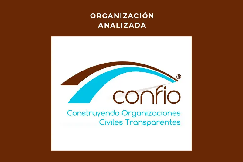 Organización analizada